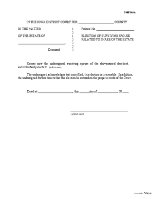 Thumbnail of Iowa Form Election Of Surviving Spouse Related To Share Of The Estate