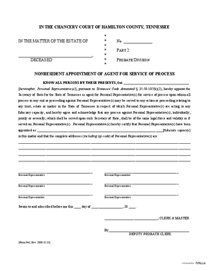 Thumbnail of Tennessee Form Non Resident Fiduciary (Hamilton)